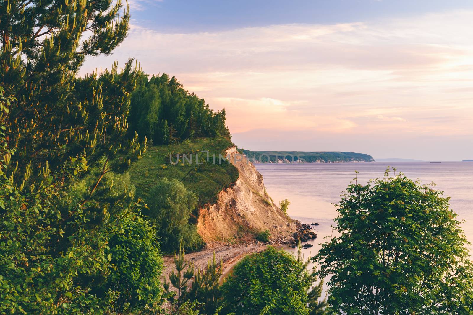 Sunrise light on the cliff with pine wood