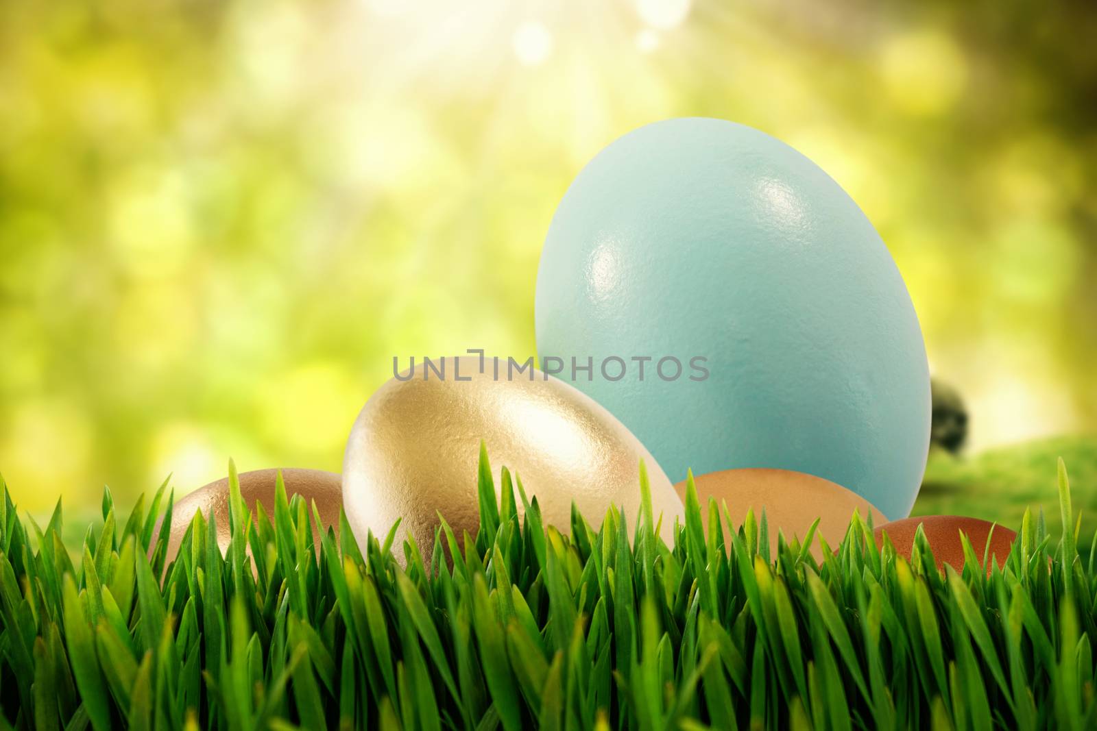 Composite image of grass growing outdoors by Wavebreakmedia