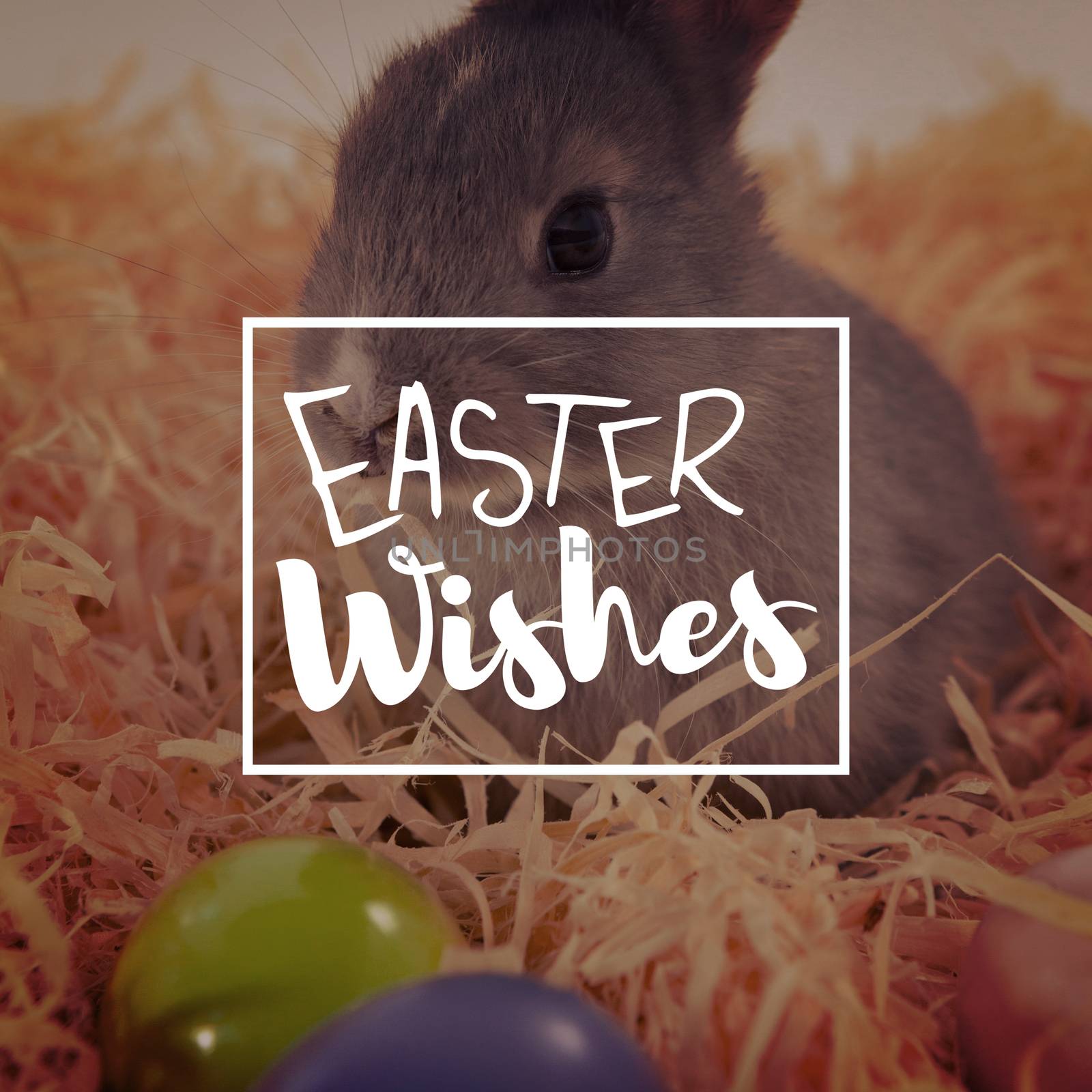 Easter greeting against easter eggs and easter bunny in the nest