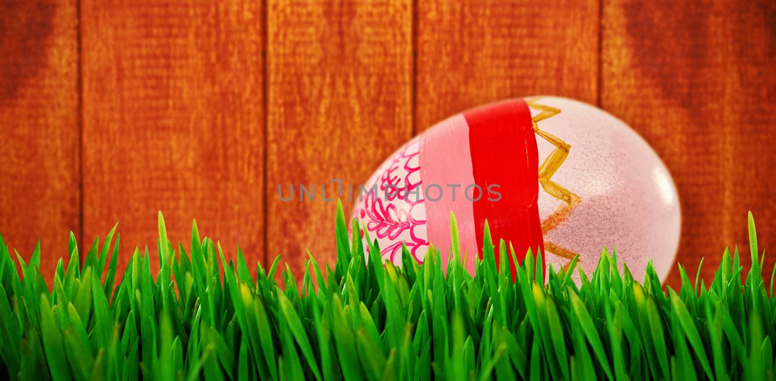 Grass growing outdoors against painted easter eggs on white background