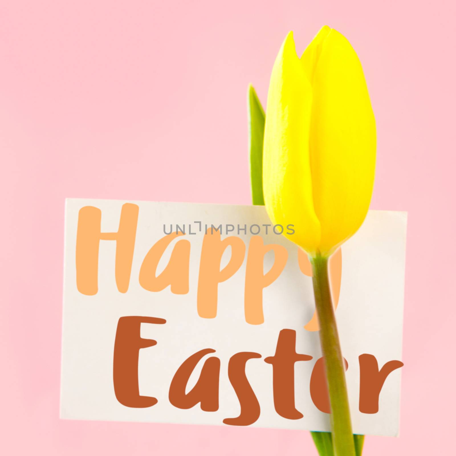 Happy easter logo against tulip with card