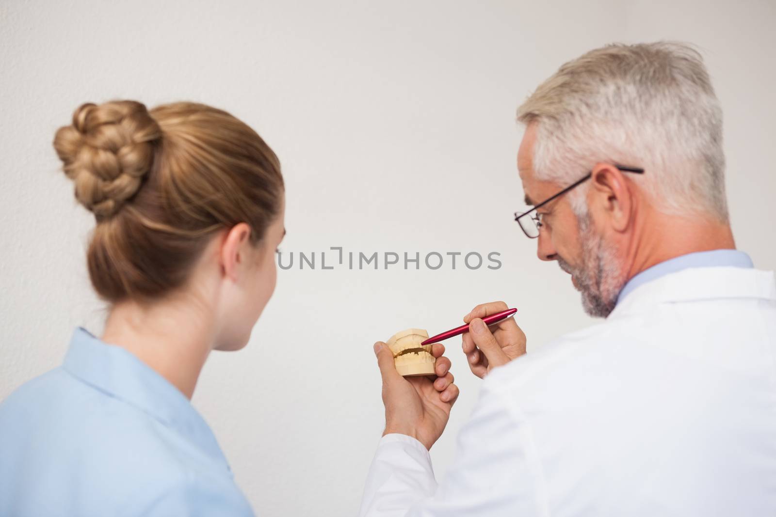 Dentist and assistant studying model of mouth at the dental clinic