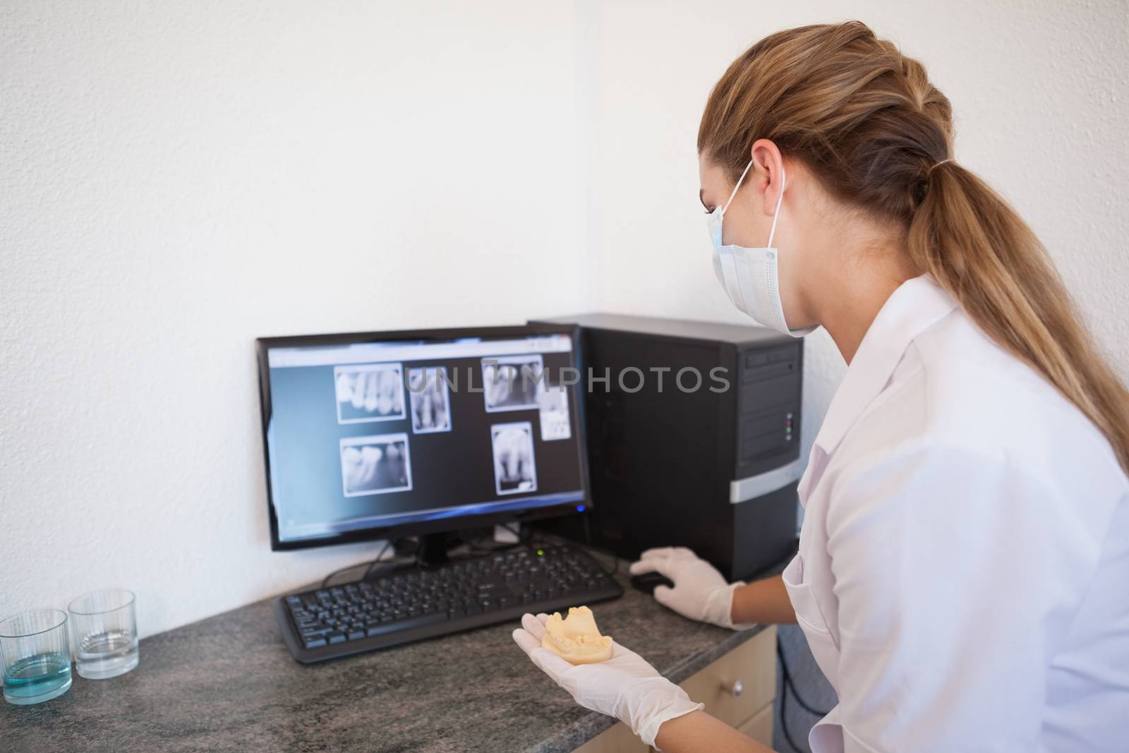 Dental assistant looking at x-rays on computer by Wavebreakmedia