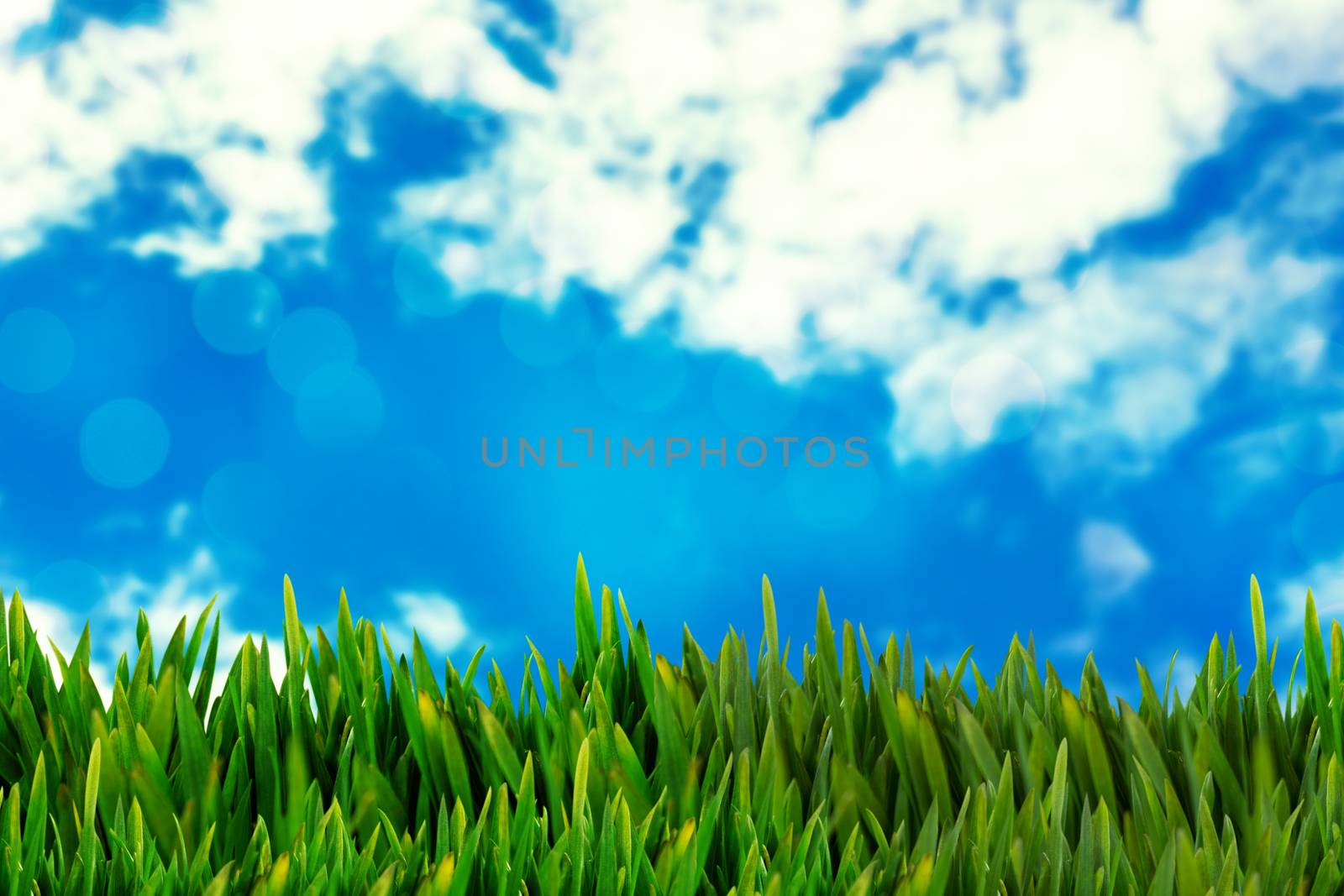 Grass growing outdoors against view of beautiful sky and clouds