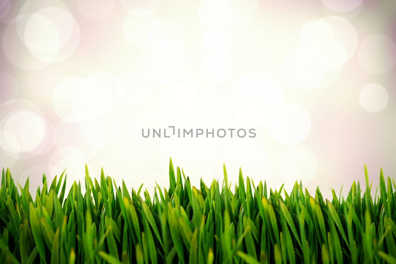 Grass growing outdoors against purple abstract light spot design