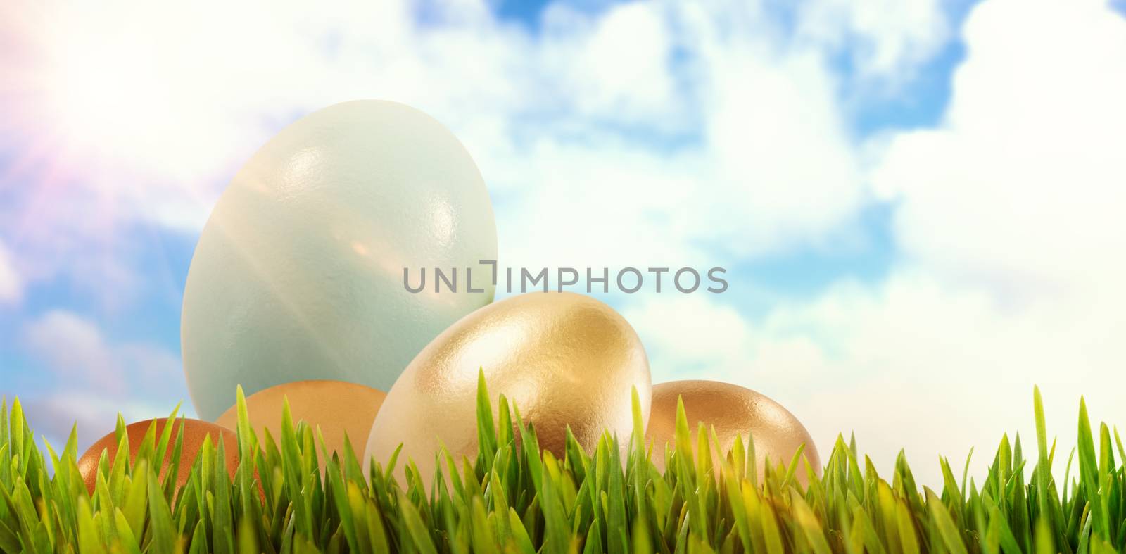 Grass growing outdoors against blue sky with white clouds