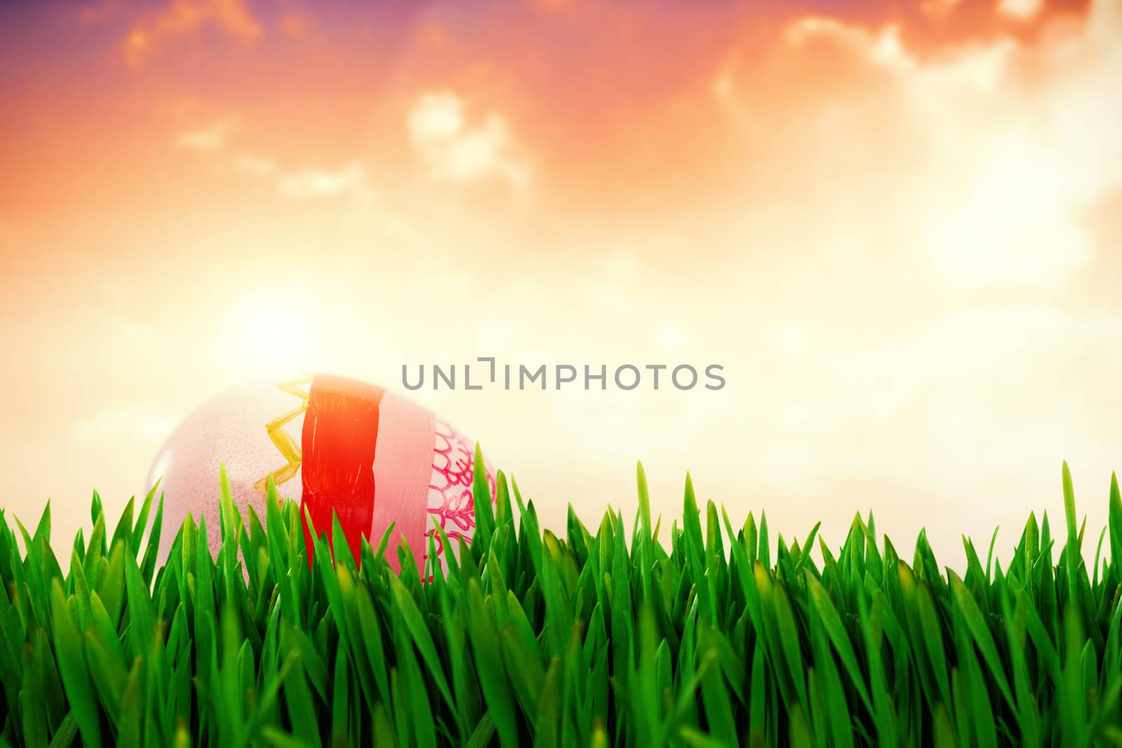 Grass growing outdoors against painted easter eggs on white background