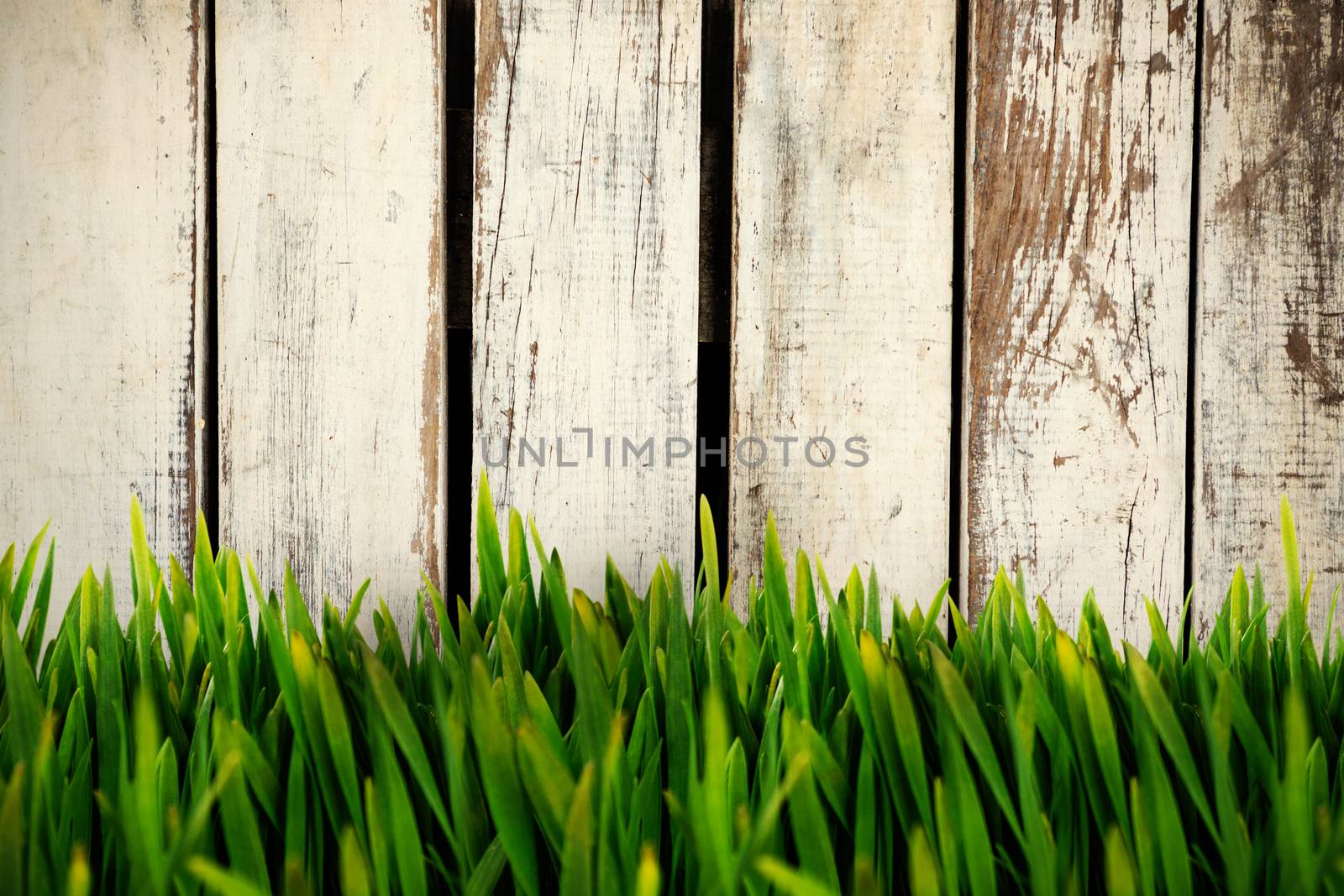 Composite image of grass growing outdoors by Wavebreakmedia