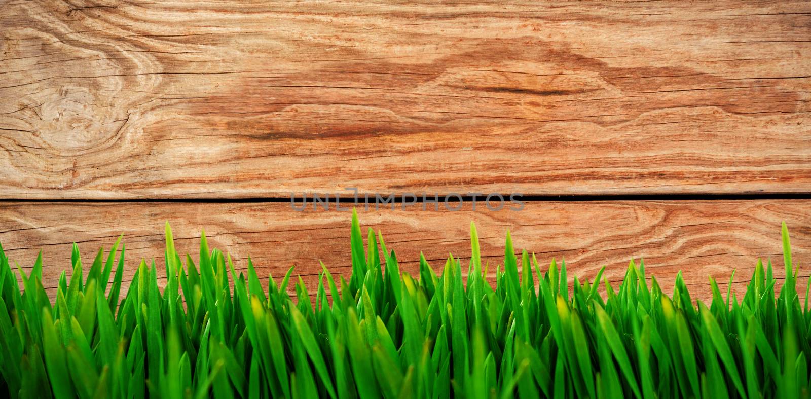 Composite image of grass growing outdoors by Wavebreakmedia