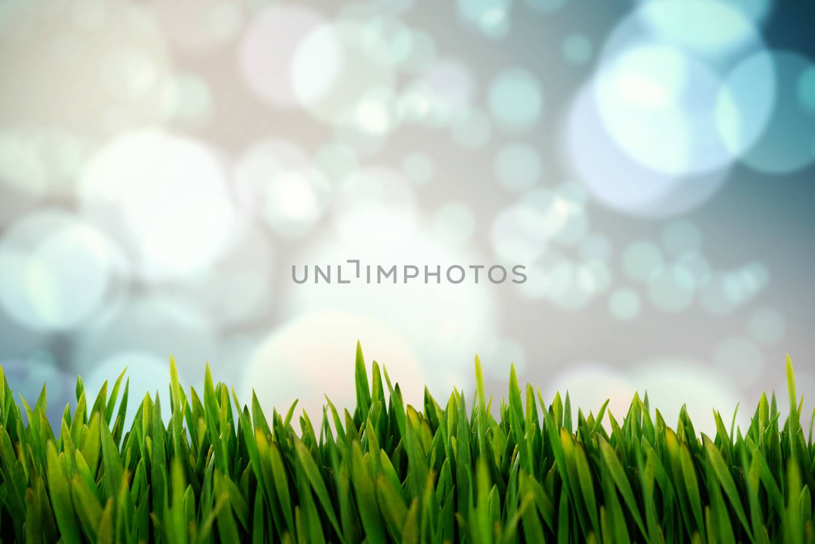 Grass growing outdoors against light glowing dots design pattern