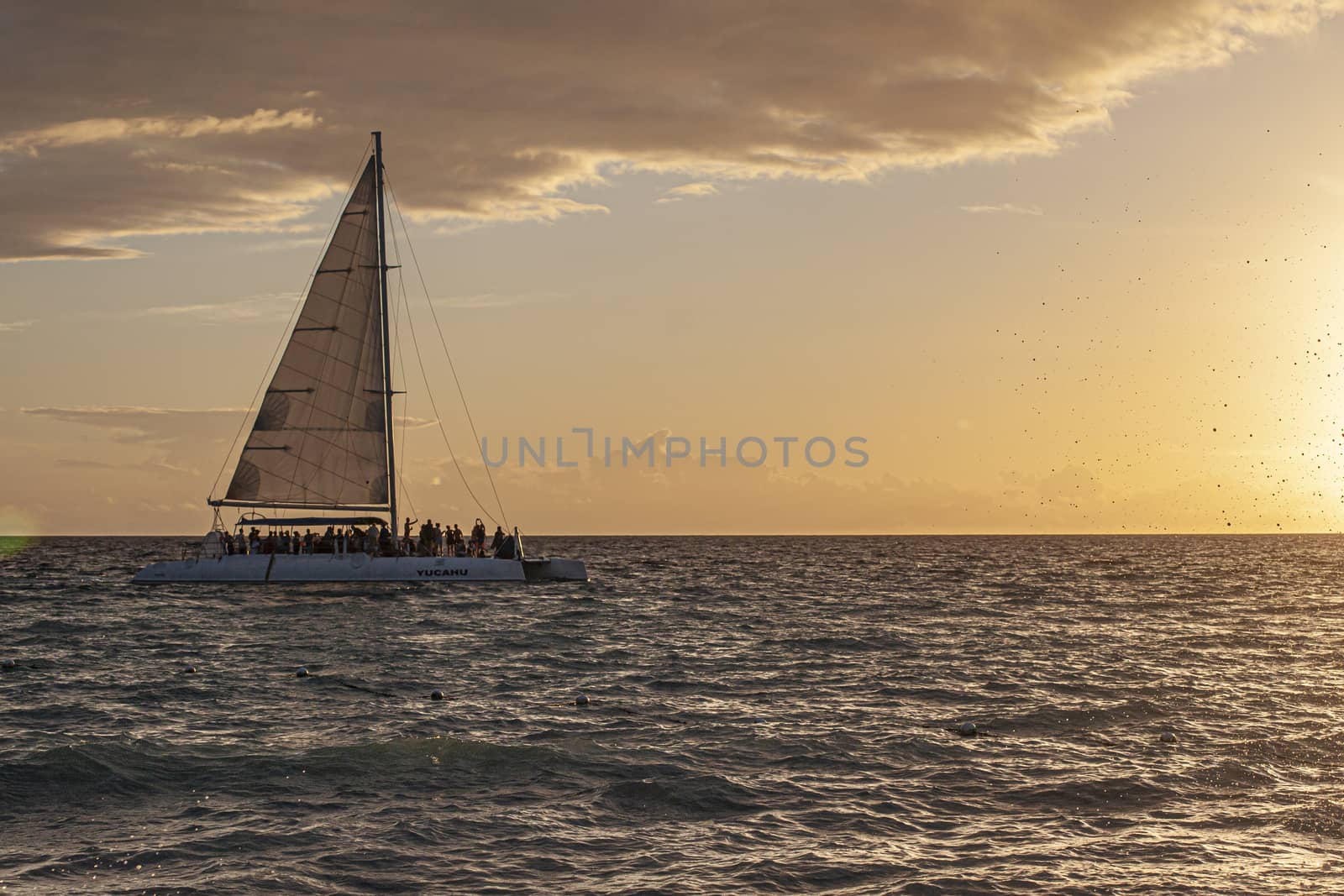 Catamaran on the sea at sunset by pippocarlot