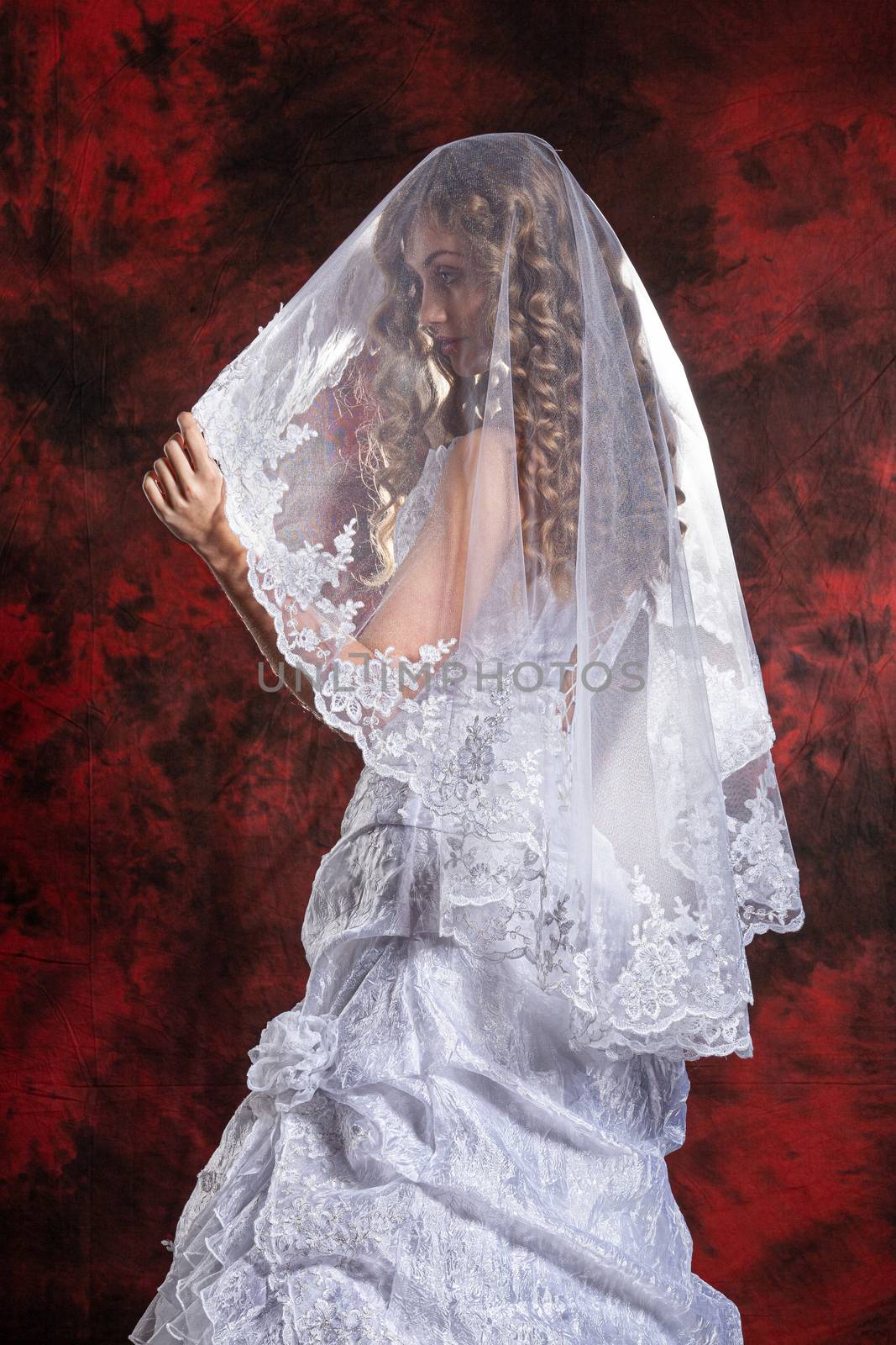 Young beautiful woman in a wedding dress on a studio background