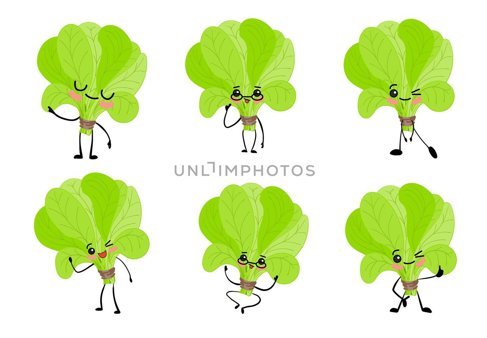 International spinach day. sorrel. Greens. Cheerful cute cartoon spinach character with eyes and hands.