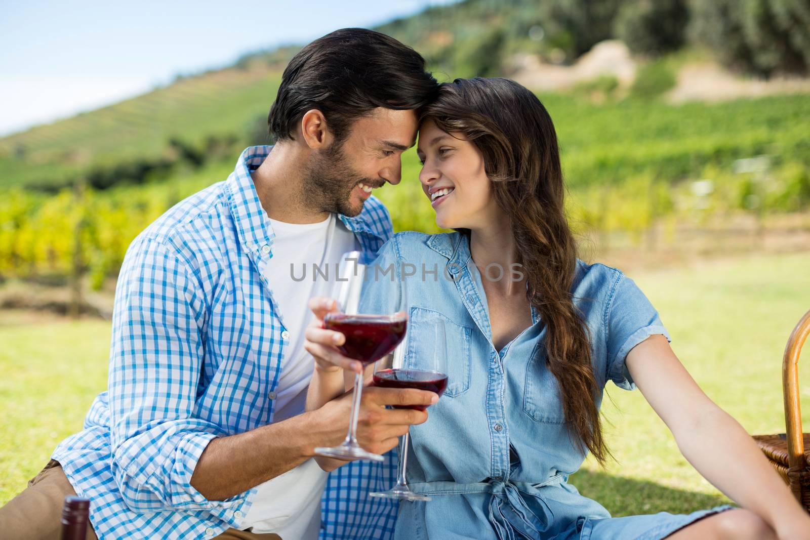 Romantic couple holding red wine glasses with vineyard in background