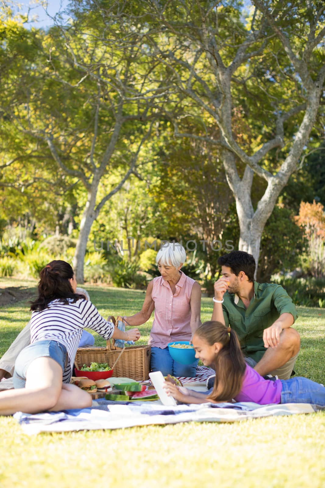 Happy family having picnic in the park by Wavebreakmedia
