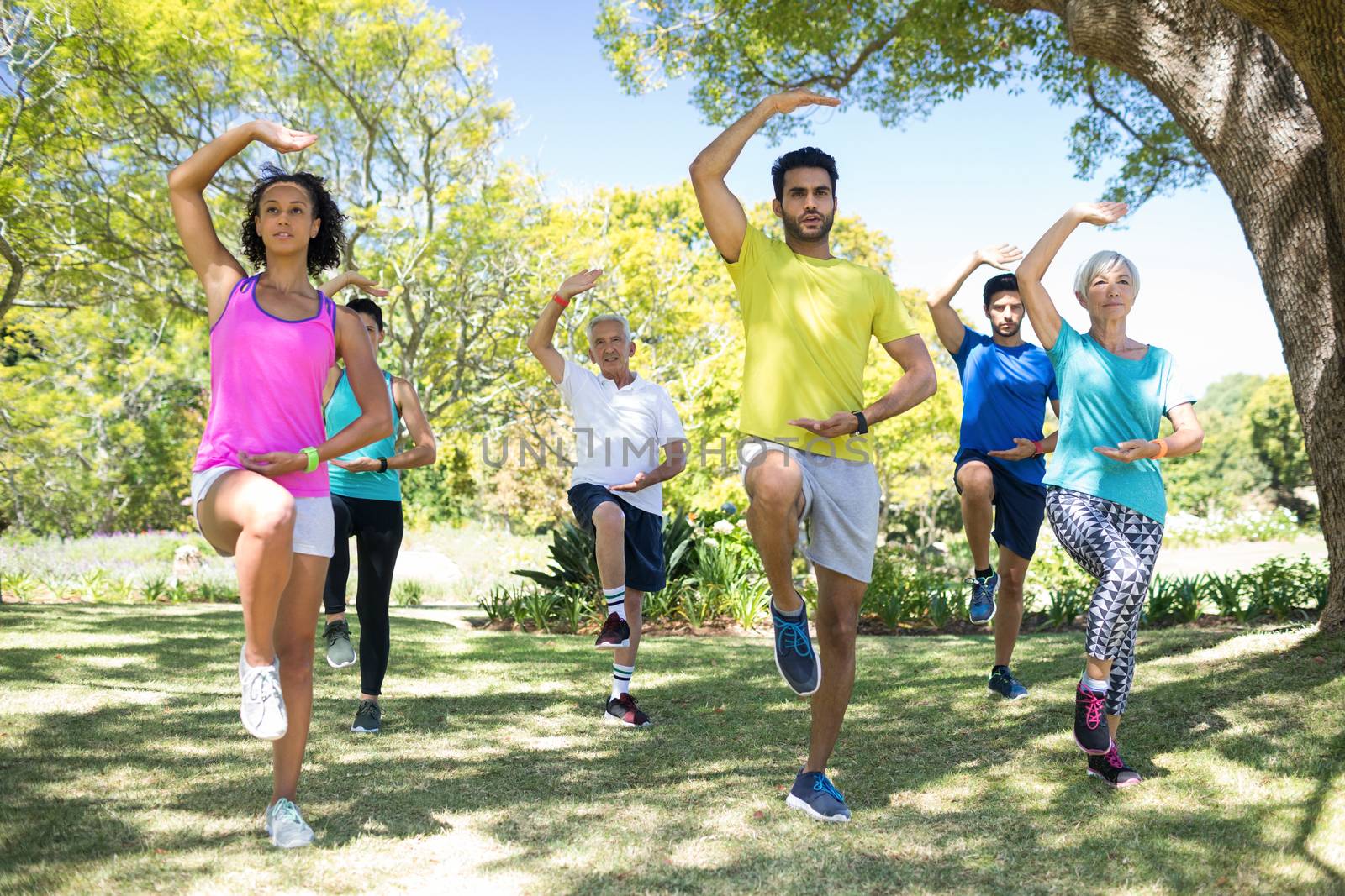 Group of people exercising in the park on a sunny day