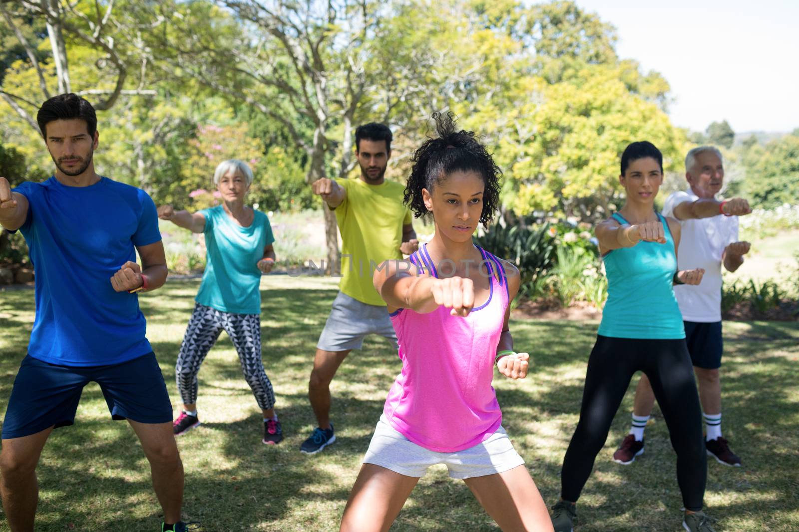 Group of people exercising in the park on a sunny day