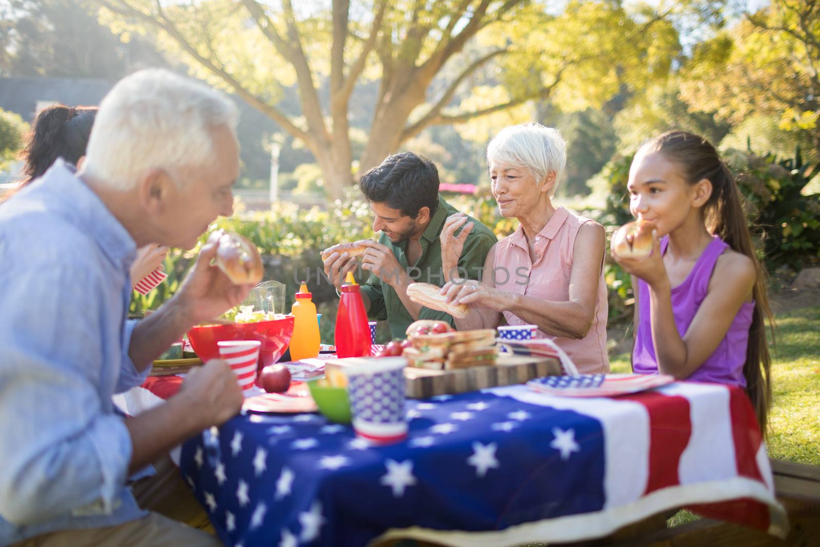 Family having meal in the park by Wavebreakmedia