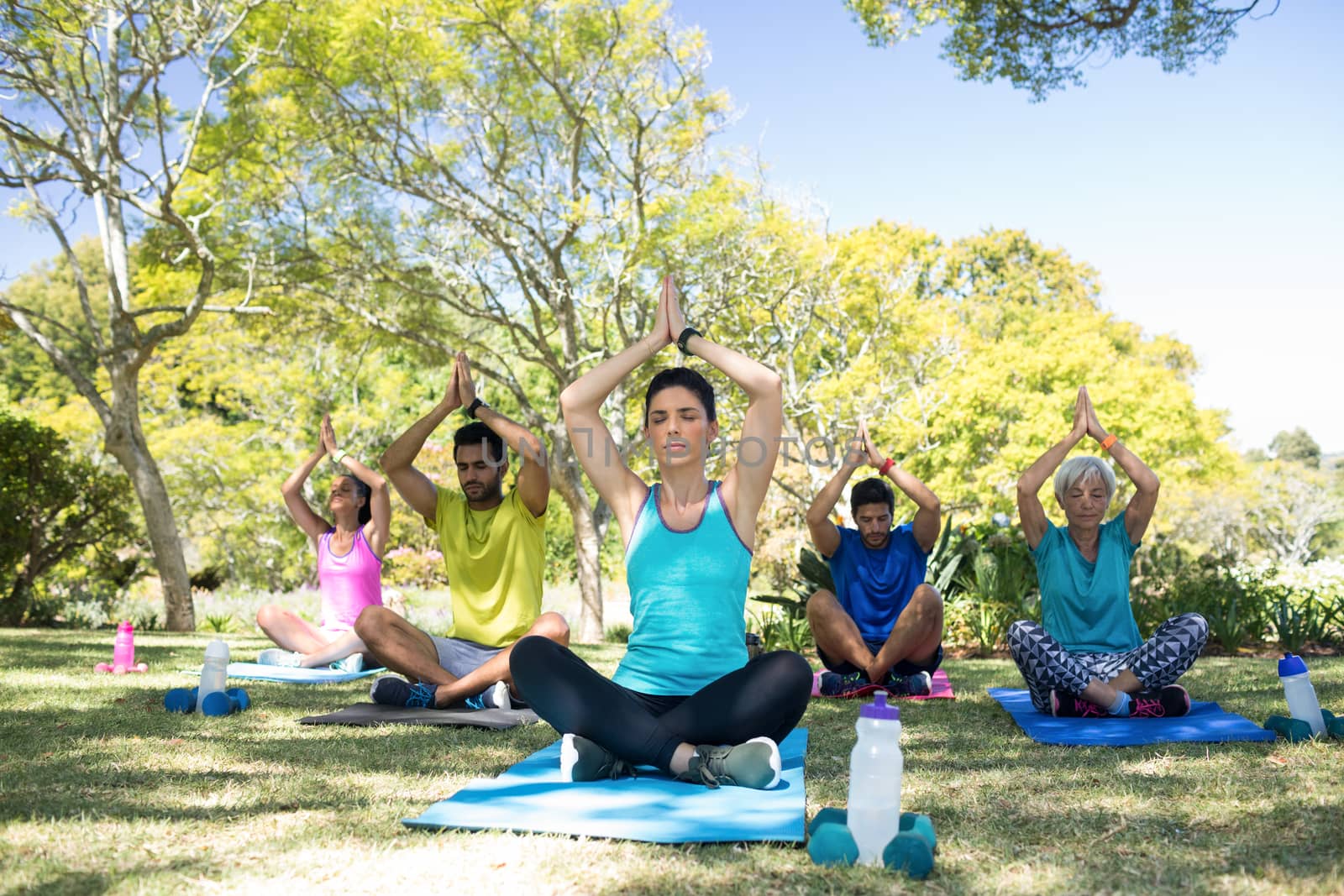 Group of people performing yoga in the park on a sunny day