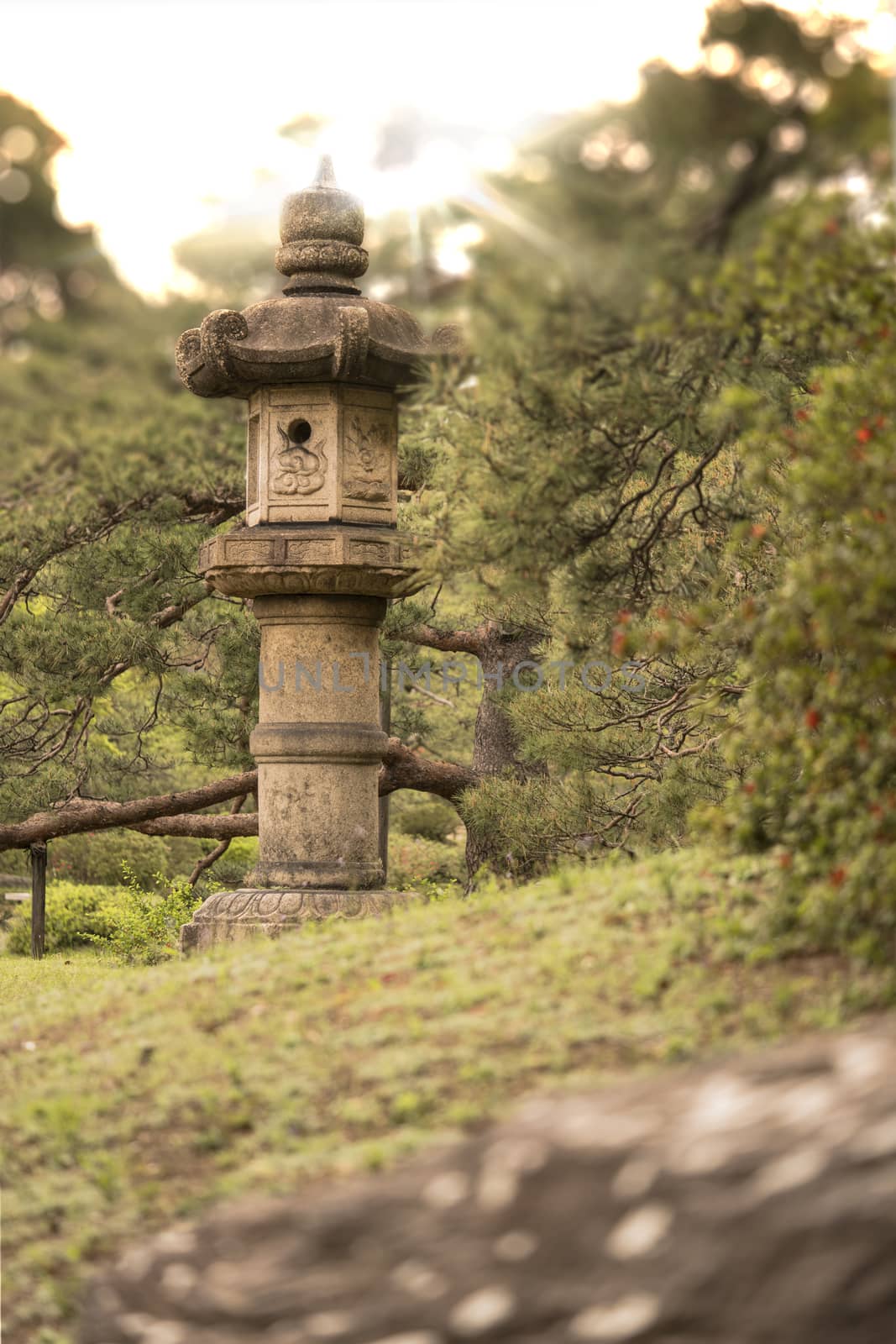 Stone lantern in sunset light of the Rikugien Park by kuremo