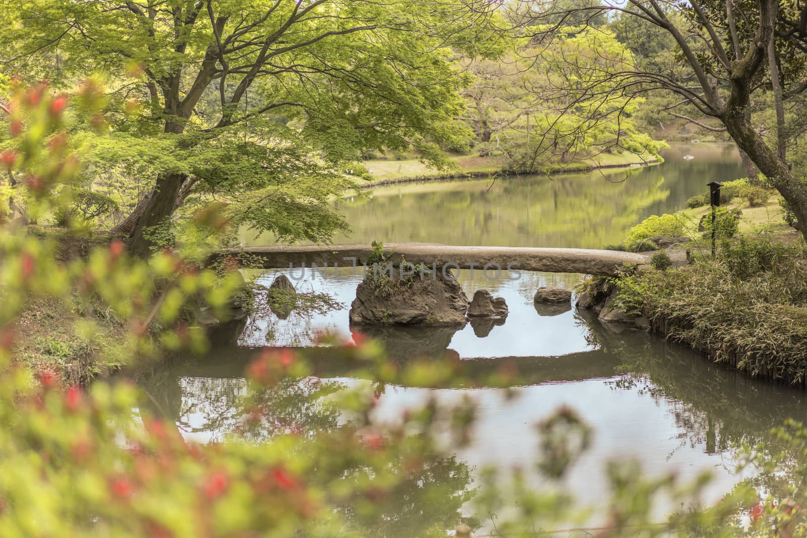 japanese Togetsu Stone bridge and flower bokeh on the pond of Rikugien Park in Bunkyo district, north of Tokyo. The park was created at the beginning of the 18th century.