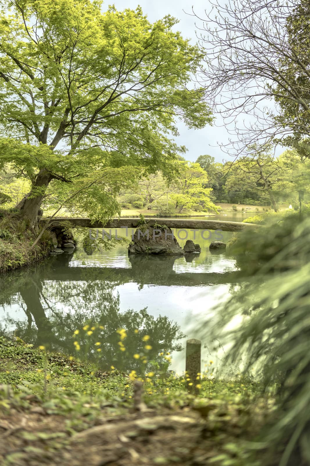 japanese stone bridge on the pond of Rikugien Park by kuremo