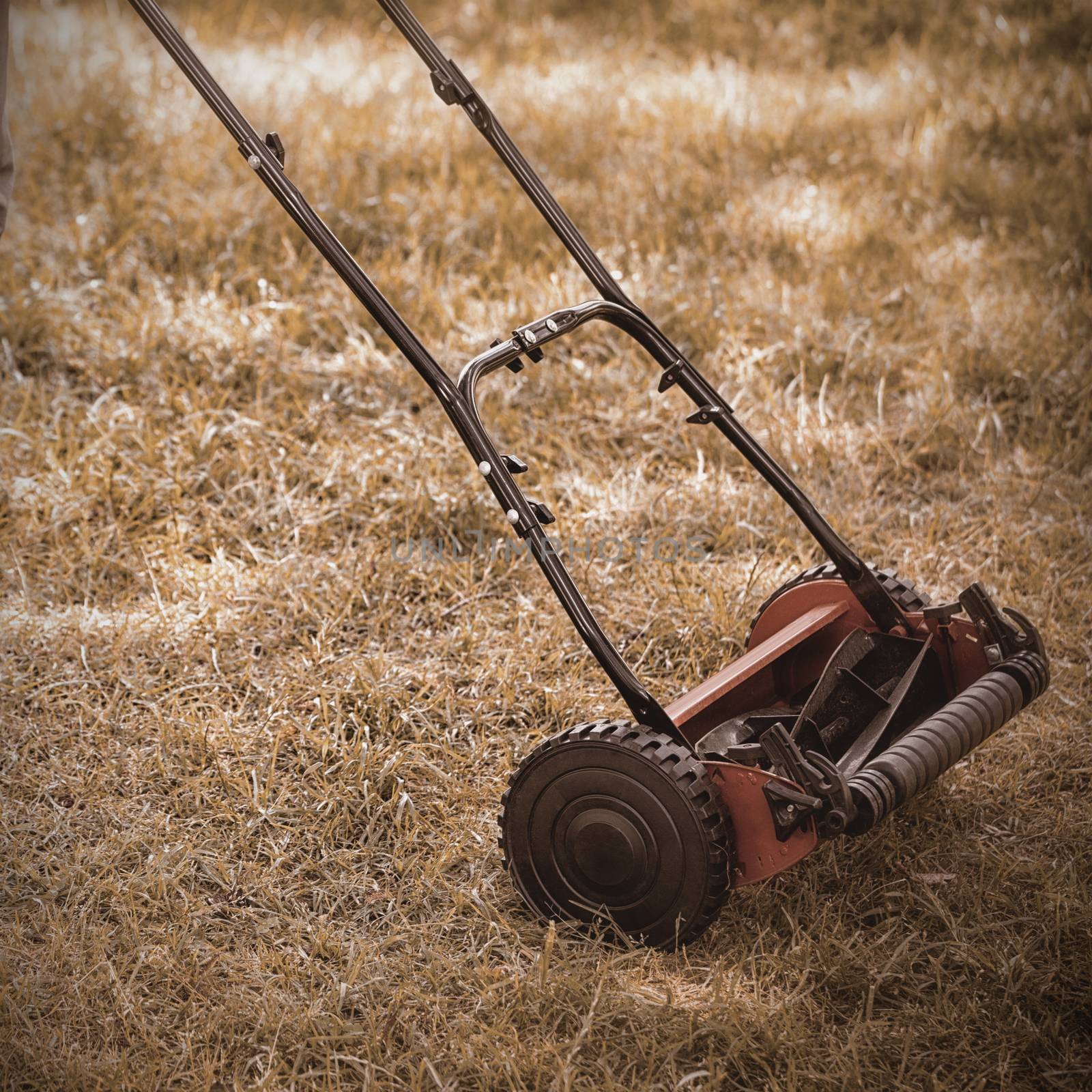 Low section of a man with lawnmower on grassy field in yard