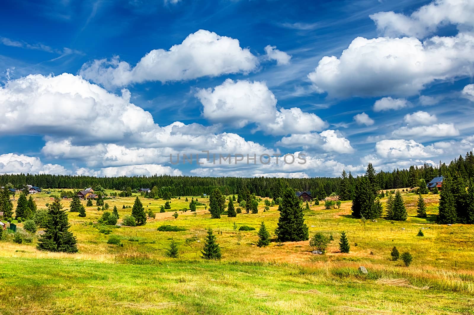 Summer Majestic mountains green grass field and blue sky with the incredible clouds
