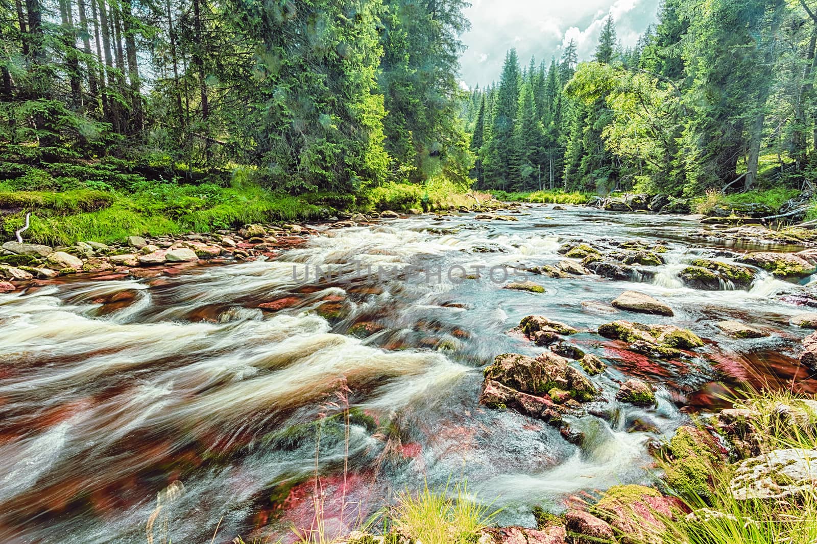 River fast runs over boulders in the primeval forest
