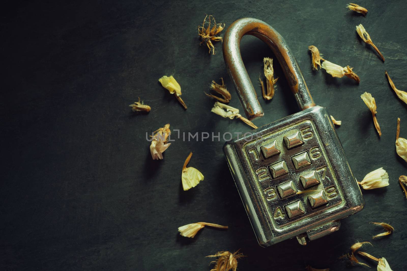 Combination padlock on blackboard background. by SaitanSainam