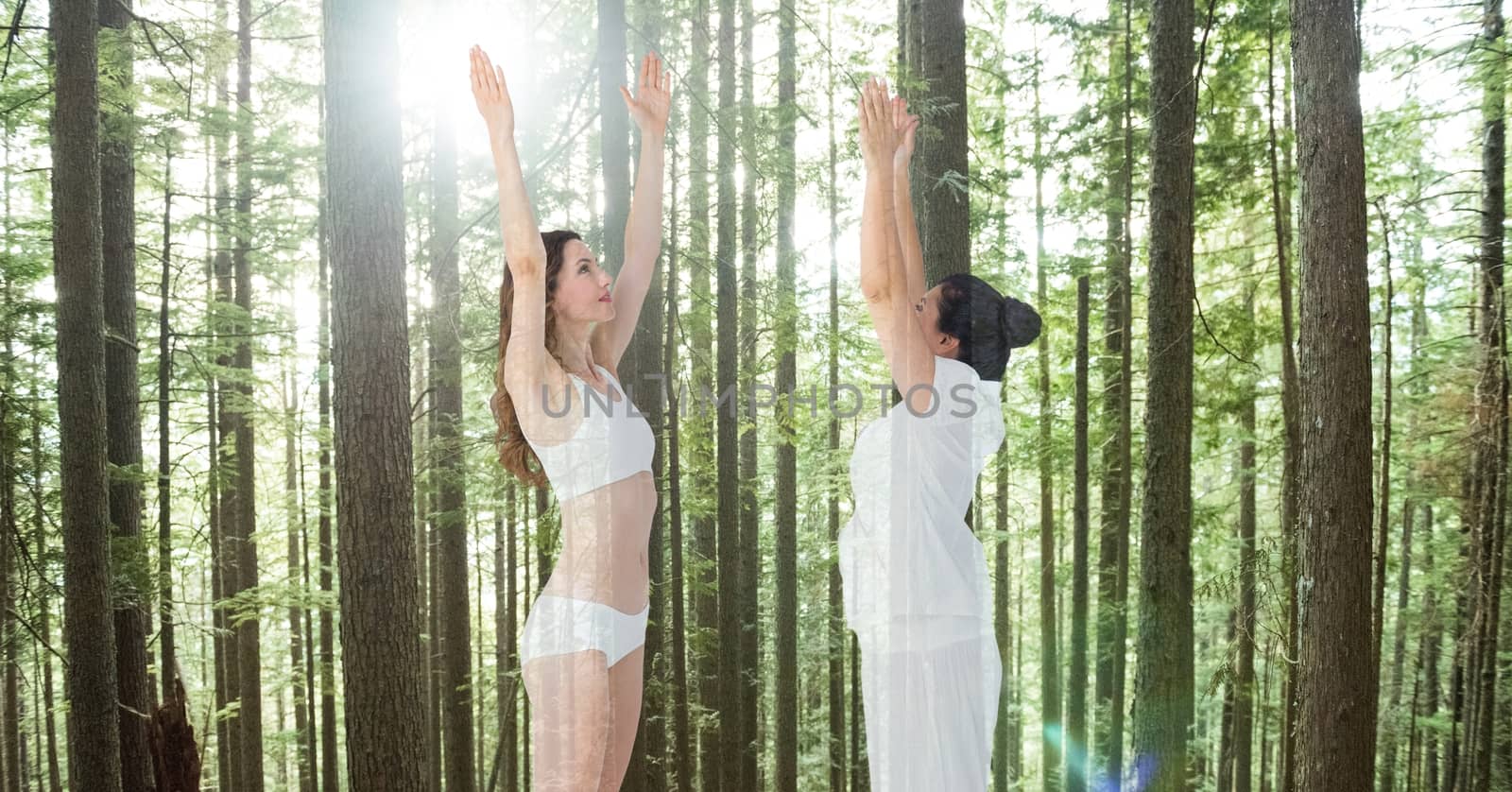 Women performing yoga against trees by Wavebreakmedia