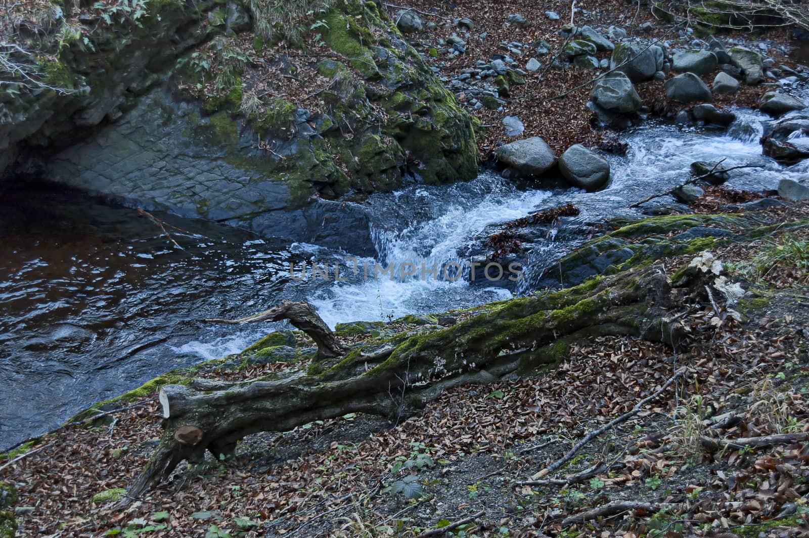 Magnificent landscape with mountain river Vit flowing in the autumn forest over mossy rocks and big stones near Teteven town, Balkan mountains, Bulgaria