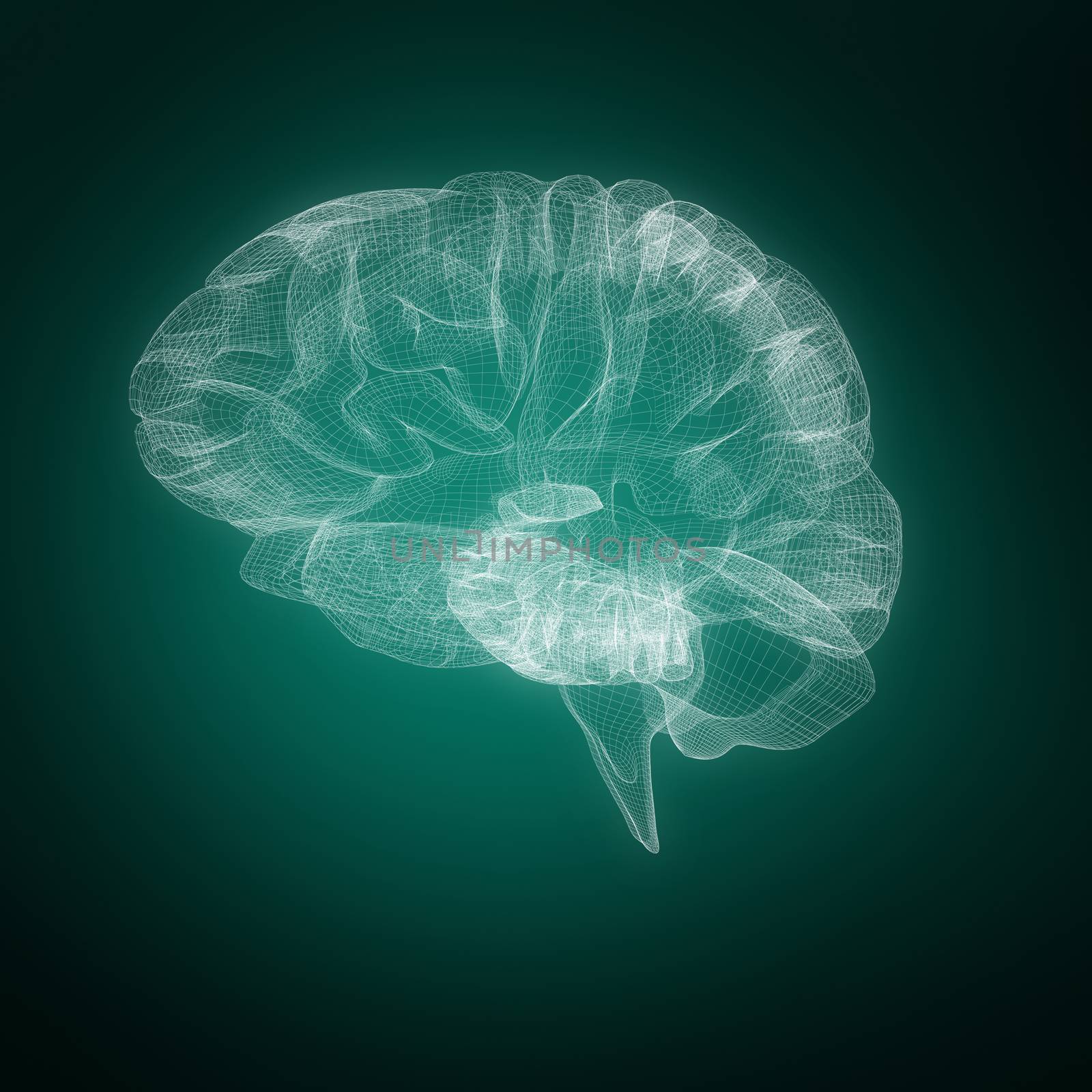 3d illustration of human brain  against green background with vignette