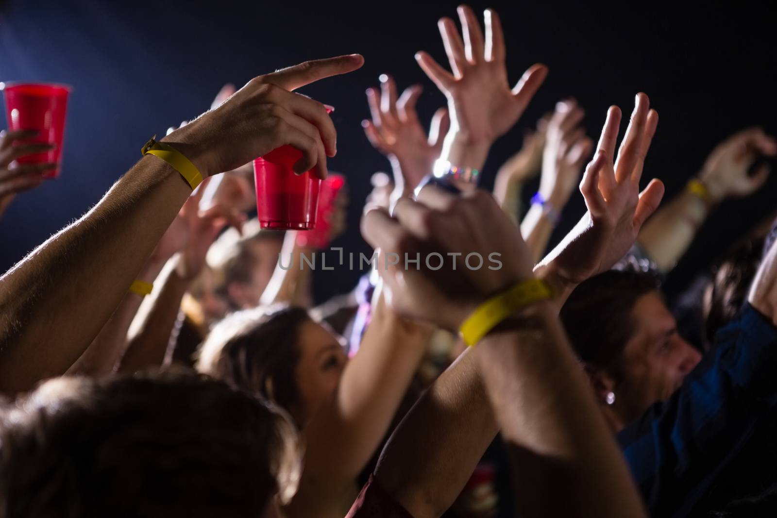 Group of people dancing at a concert by Wavebreakmedia