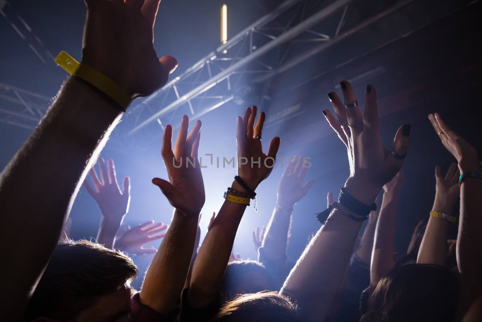 Group of people dancing at a concert in nightclub