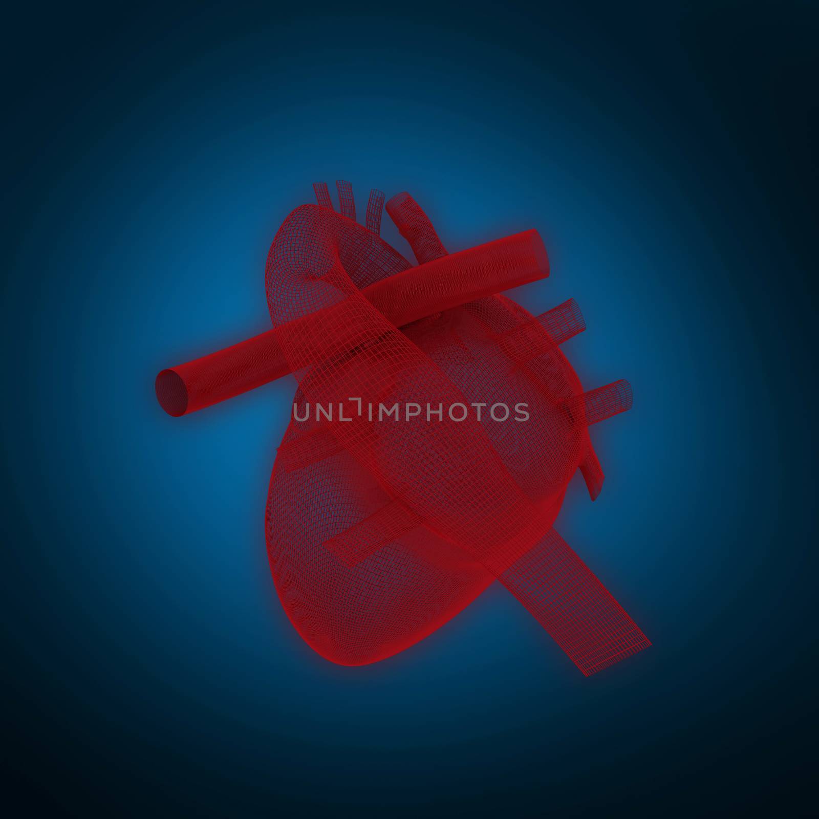 3d illustration of human heart  against blue background with vignette