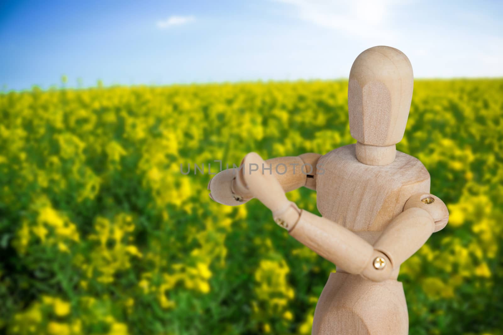 Wooden 3d figurine performing yoga against yellow mustard field