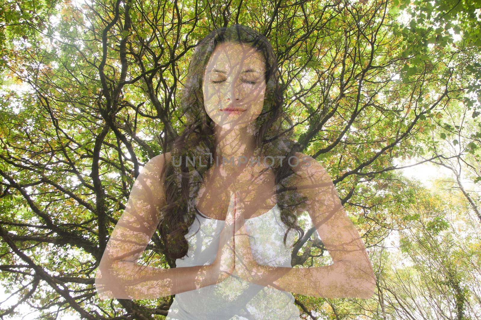 Woman doing yoga under a tree by Wavebreakmedia