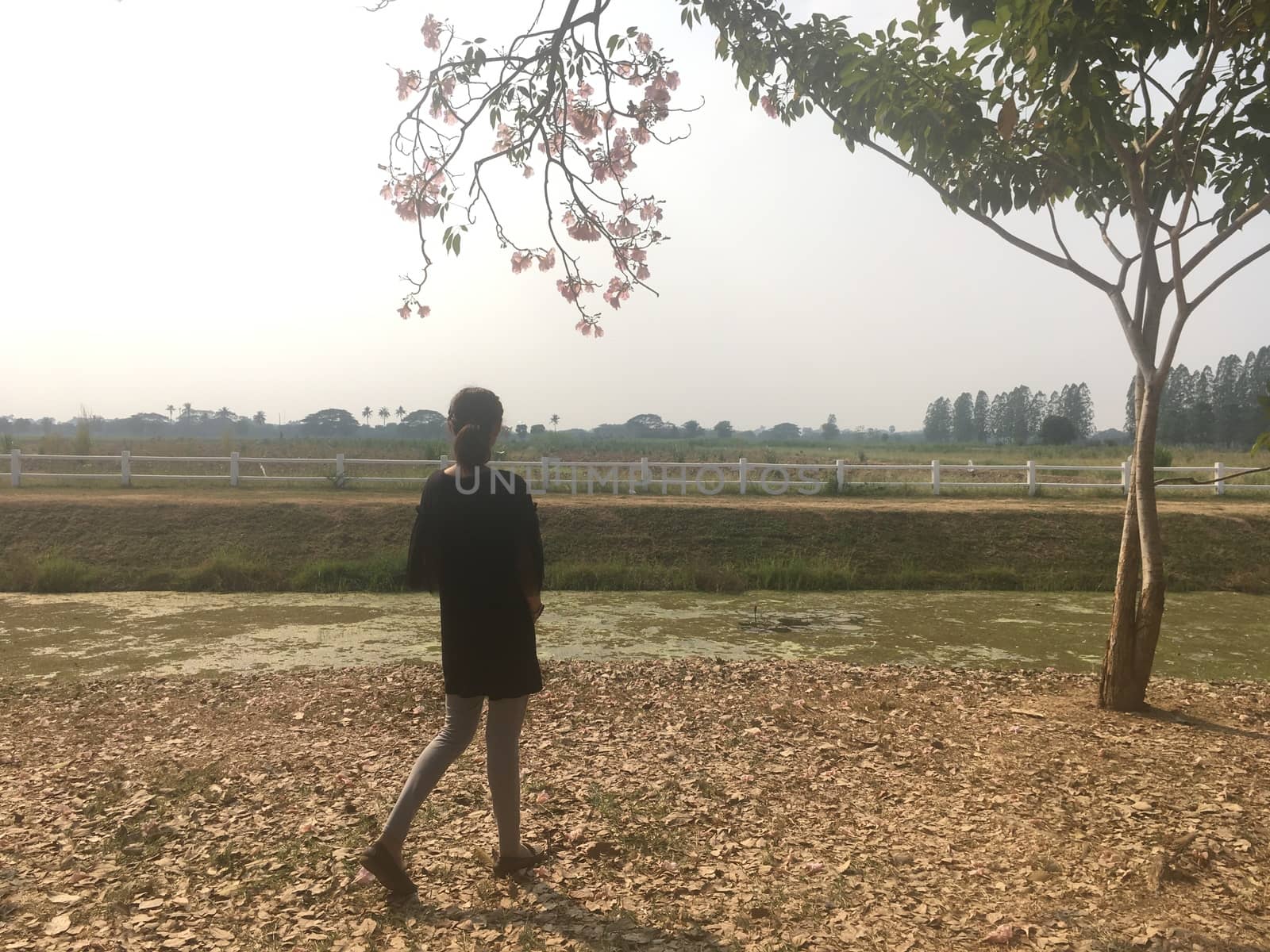 On weekends One woman went on a rural trip. View the atmosphere of the open meadow in the evening.