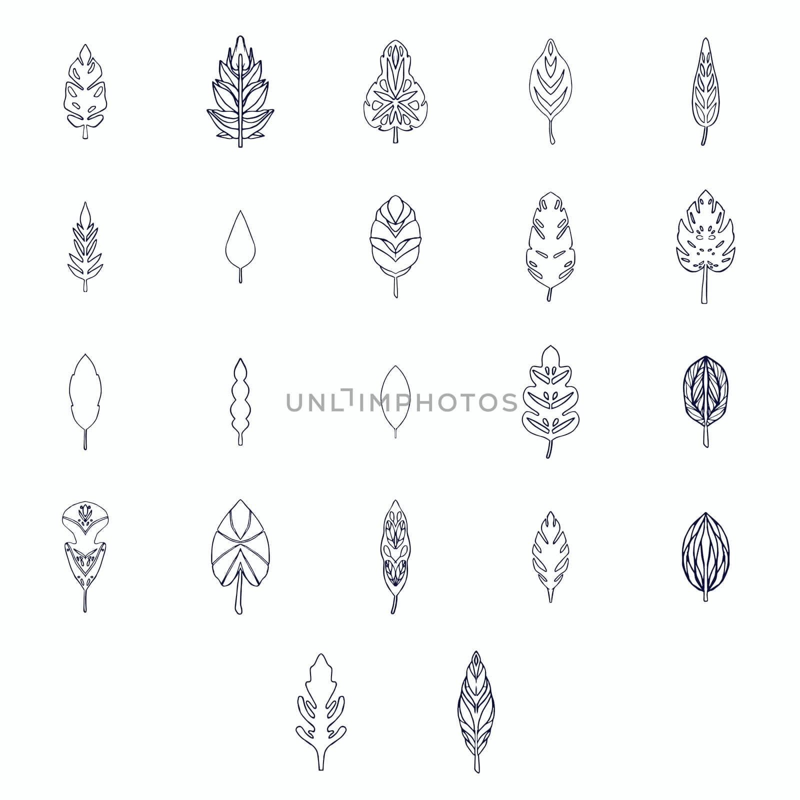 Vector icon of various outline leaves against white background