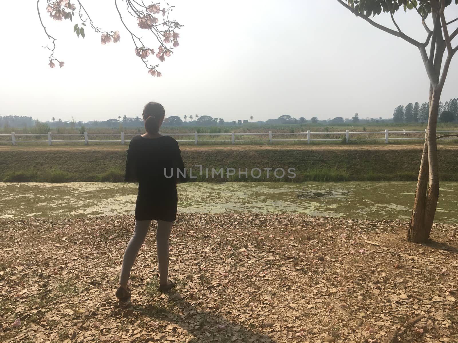 On weekends One woman went on a rural trip. View the atmosphere of the open meadow in the evening.