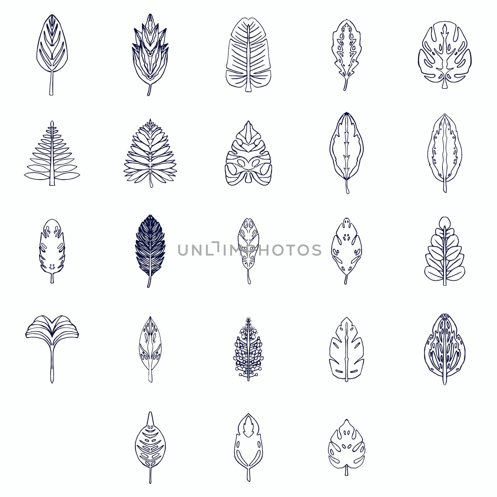 Vector icon of various outline leaves against white background