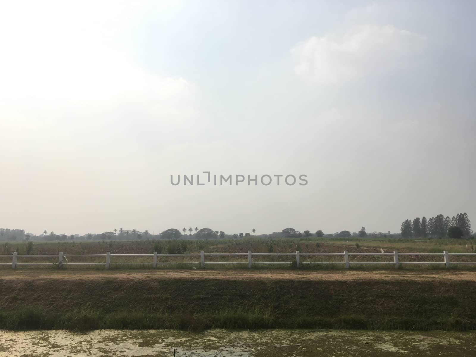 Agricultural garden, agronomy, vegetable garden, orchard and orchard in the evening before sunset.