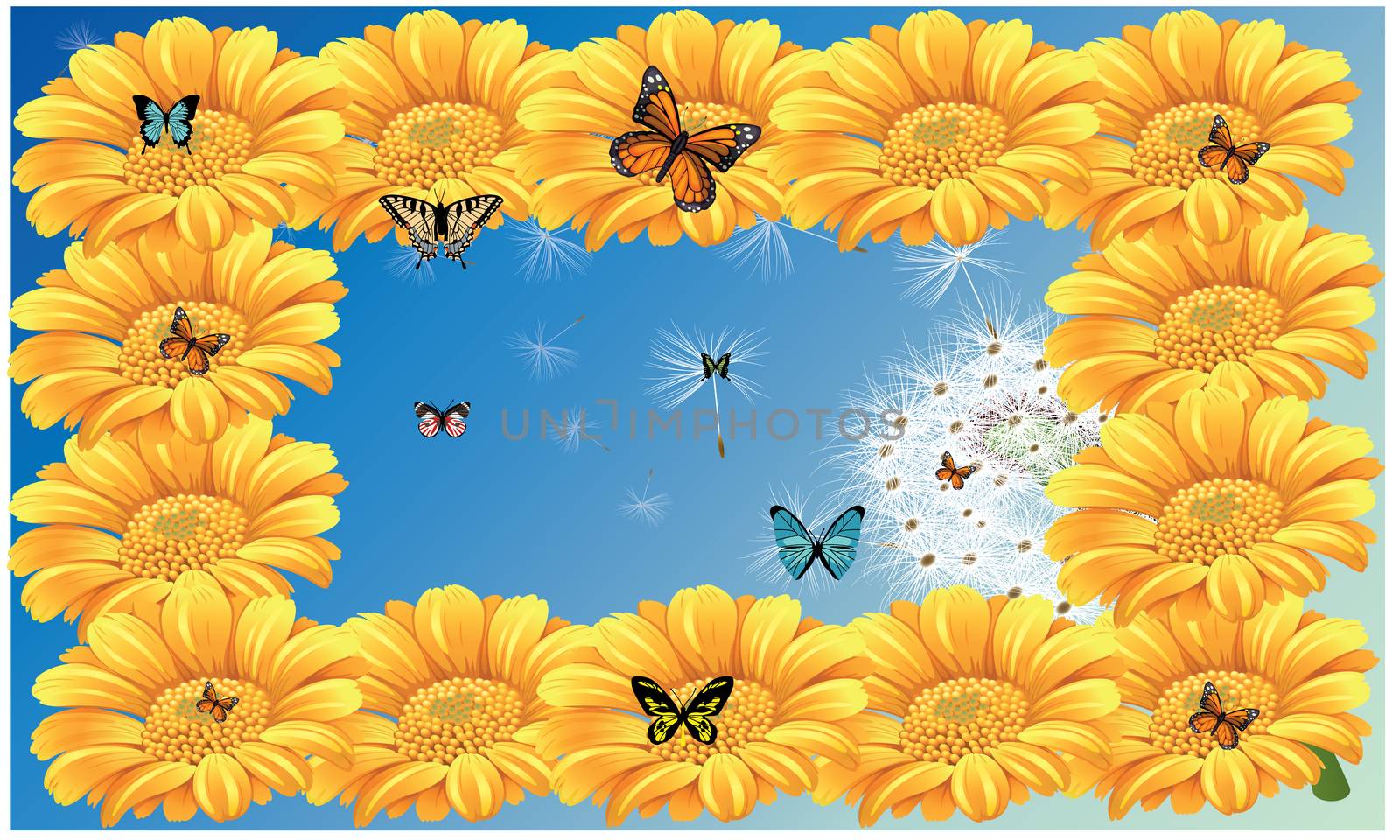 butterfly are sitting on flower for nectar on sky background frame by aanavcreationsplus