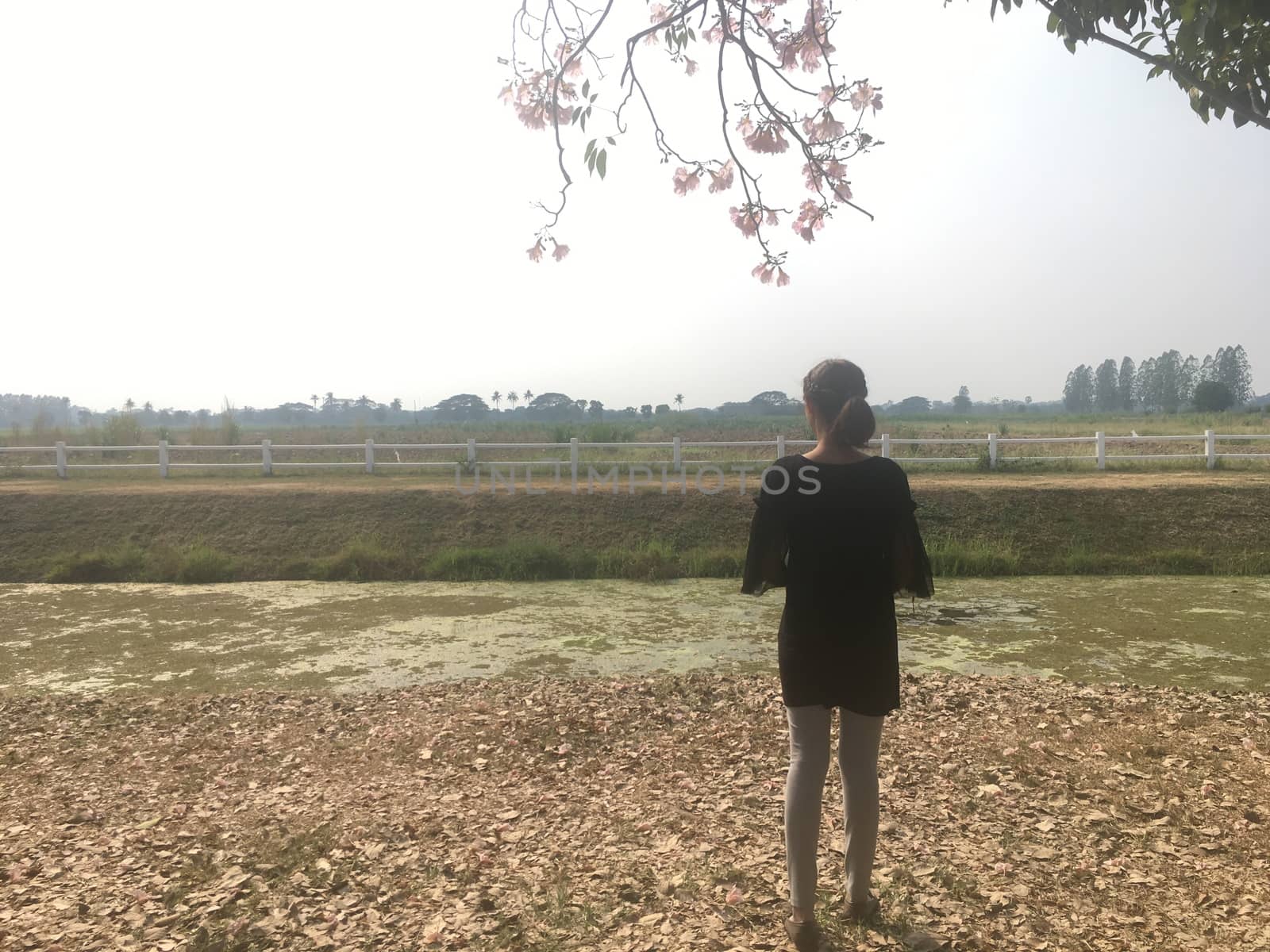 On weekends One woman went on a rural trip. View the atmosphere of the open meadow in the evening.