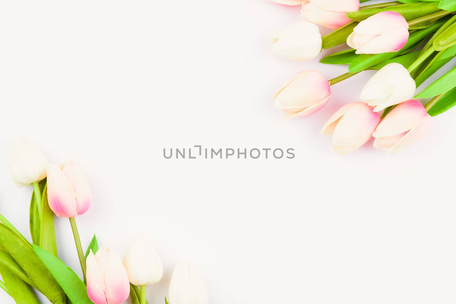 Happy Women's Day, Mother's Day and Valentine's Day concept. top view flat lay Tulip flower on white background, copy space for your text