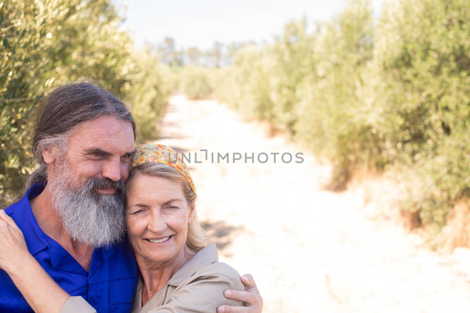 Romantic couple embracing each other in olive farm by Wavebreakmedia
