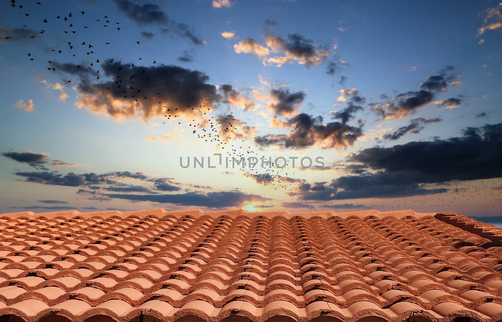 A curved red clay tile roof under a clear blue sky