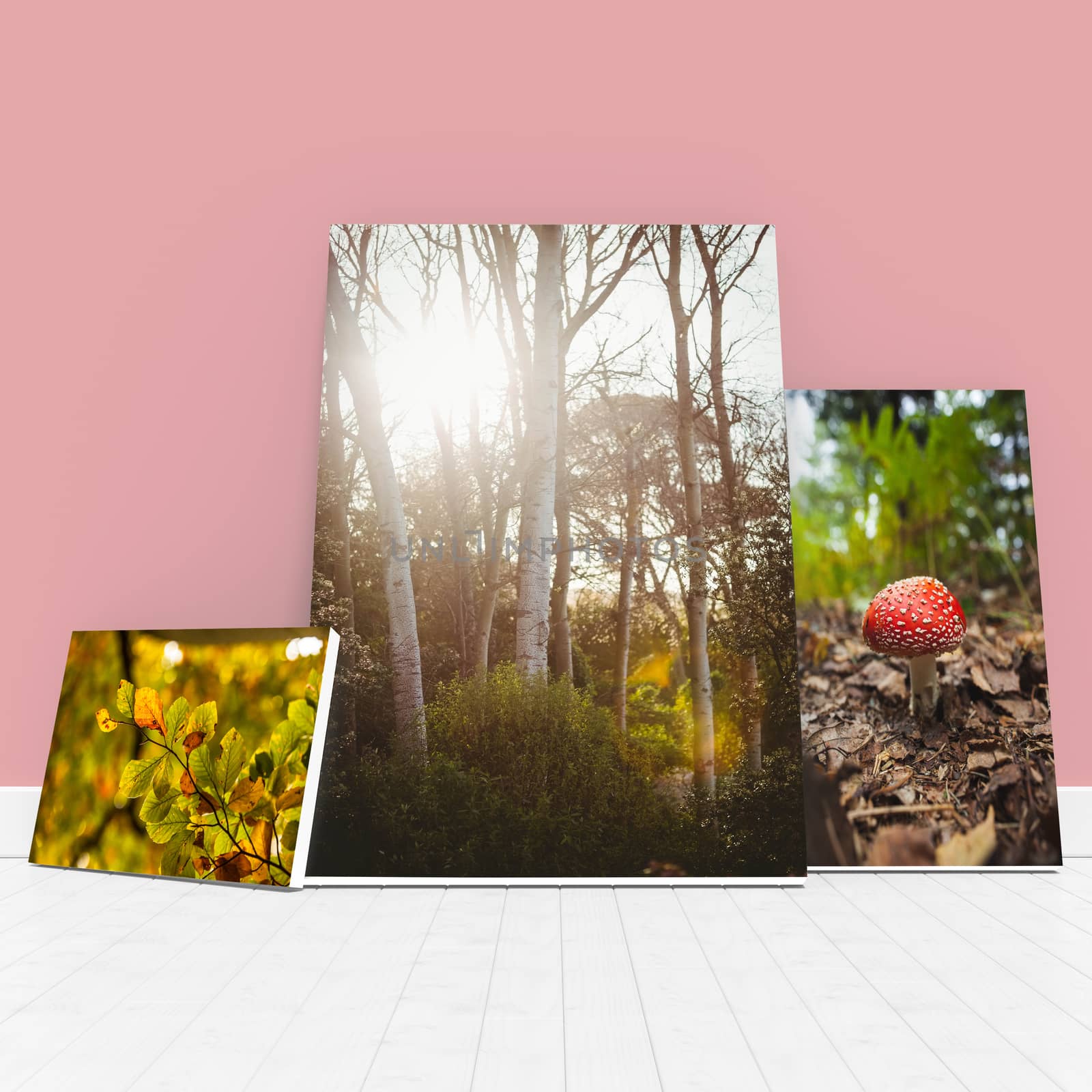 Digitally generated image of whiteboards against coral wall against detail shot of leaves