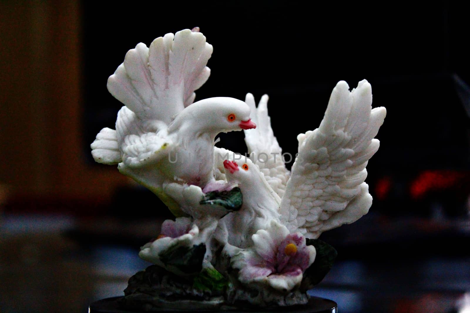 beautiful pigeon symbol of loveable couple by KUL-WIN